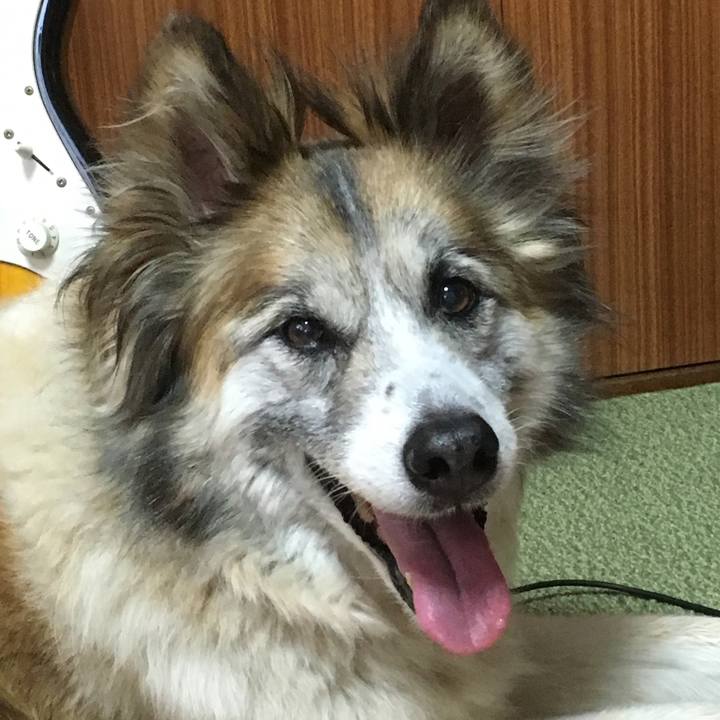 01043c46 0504 4453 af89 438d356f13bb