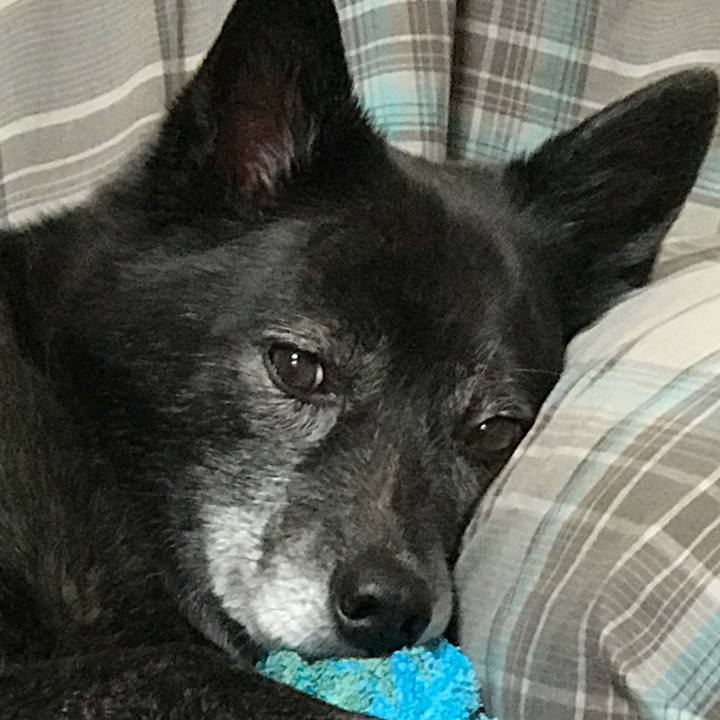 01044a4f 635a 4550 bd34 51bc89719cbc