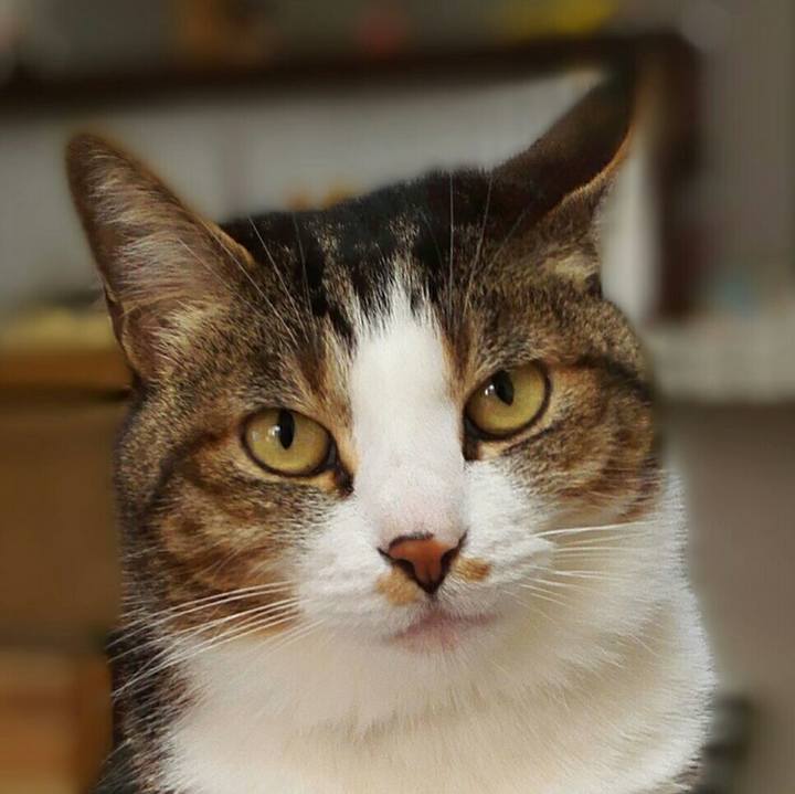 01048c78 e9cc 4eb4 9ef4 f3f6c4c7238e