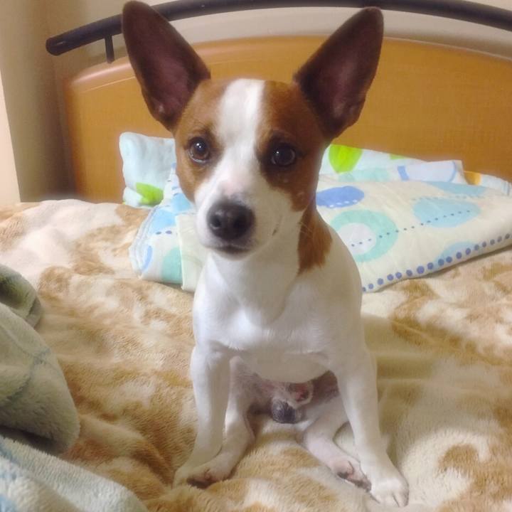 0104b59d cfc2 476b 988e d4ae0a617cd0