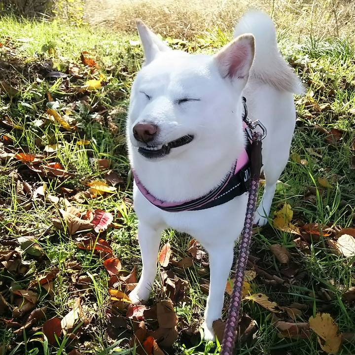 0104e5c4 4d20 4b06 9836 1a5f35f298cf