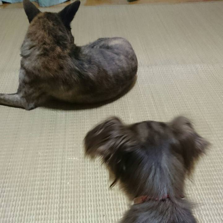 0104f692 787a 4aa0 8488 dd50261dfa87