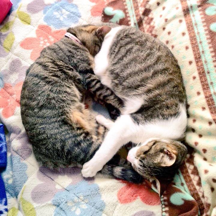 01055f9a bf98 46f1 858e 71892caada94