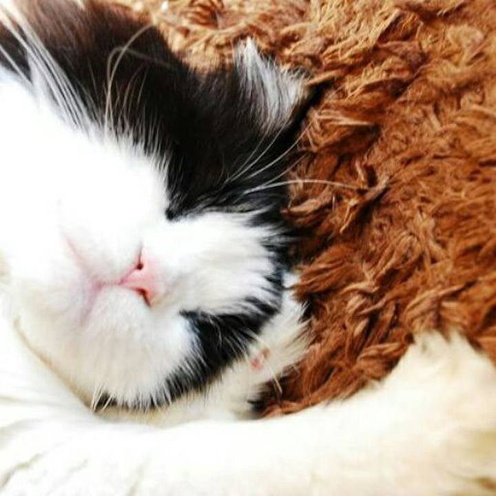 01056d29 2b3b 4830 9d63 8d7930973f67