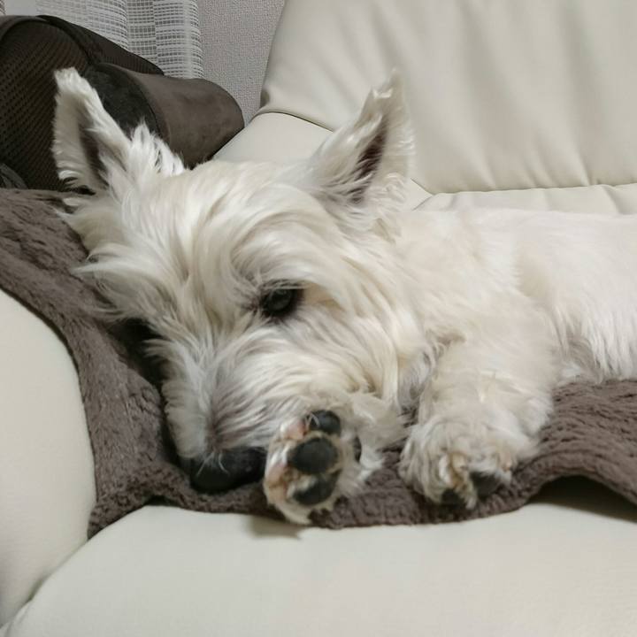 01059b86 f0dd 48bb ad6f bec1dcbcc443