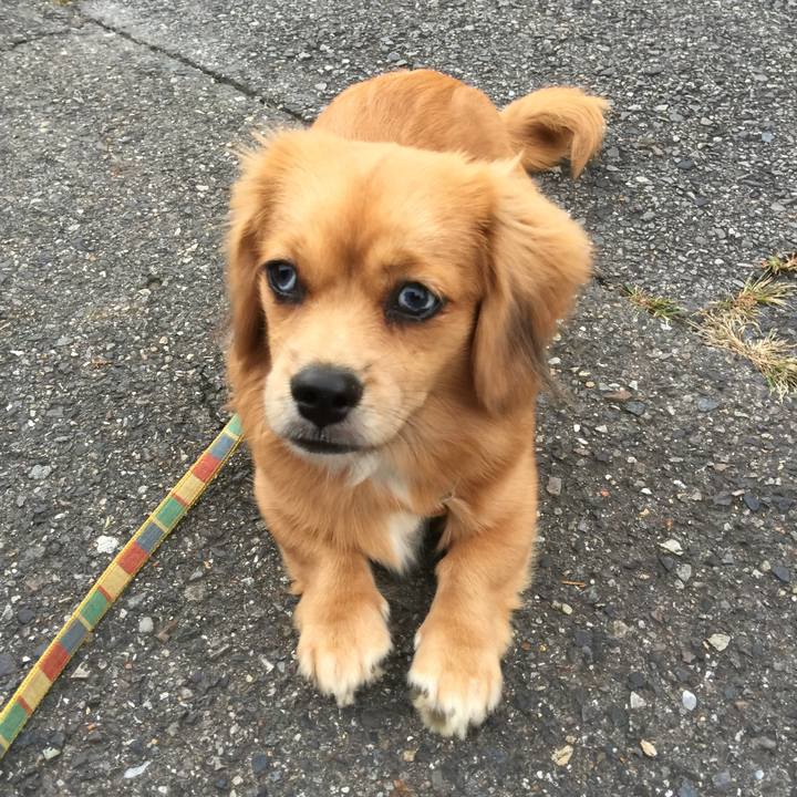 0105b04d 8d5e 4210 b35c 7cb65a1a51d4