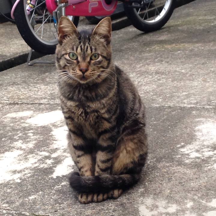 0105d69a 1c21 4a9a 926c b1f83946be97