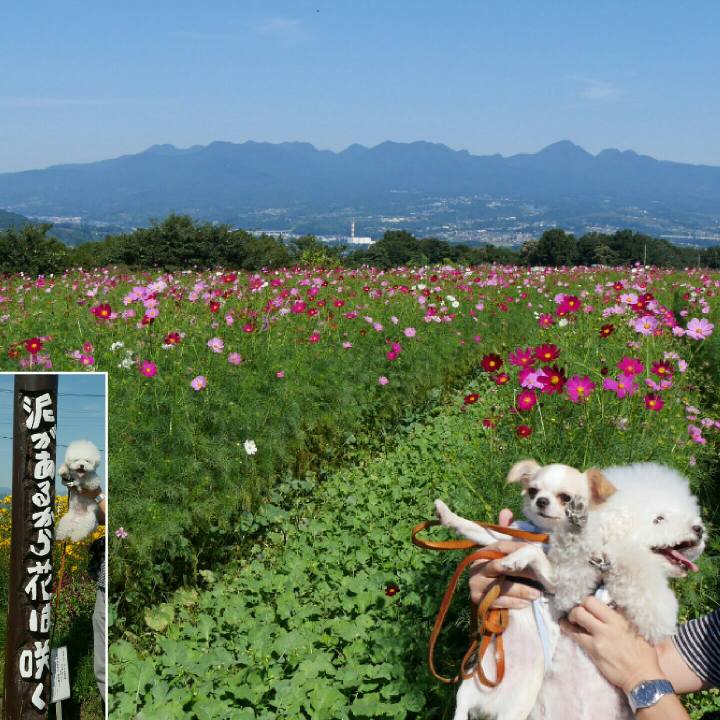 0105ffbe e6eb 4fe5 8730 f88427254a06