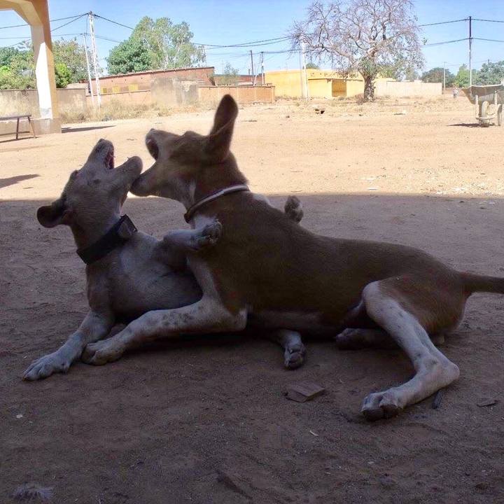 0106914d 3021 45f3 b874 c39dd1c416f1