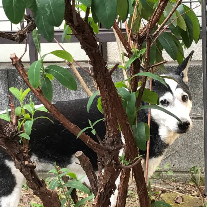 0106ac2f 52ee 431d 8d0f b00bb26b9c9f