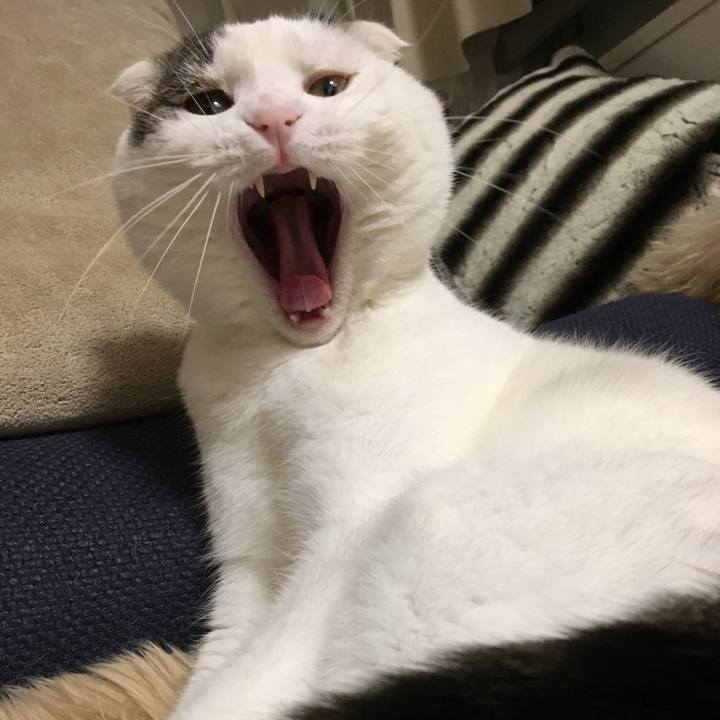 01075fdf da22 45da b33d 71dcdf0ed3c7