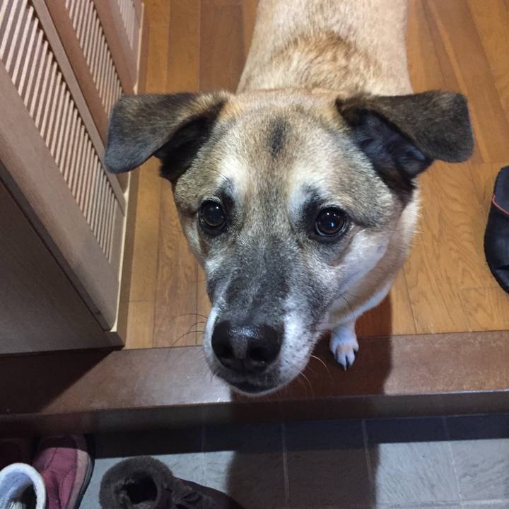 0108376f f57d 4734 b1a3 aca591585467