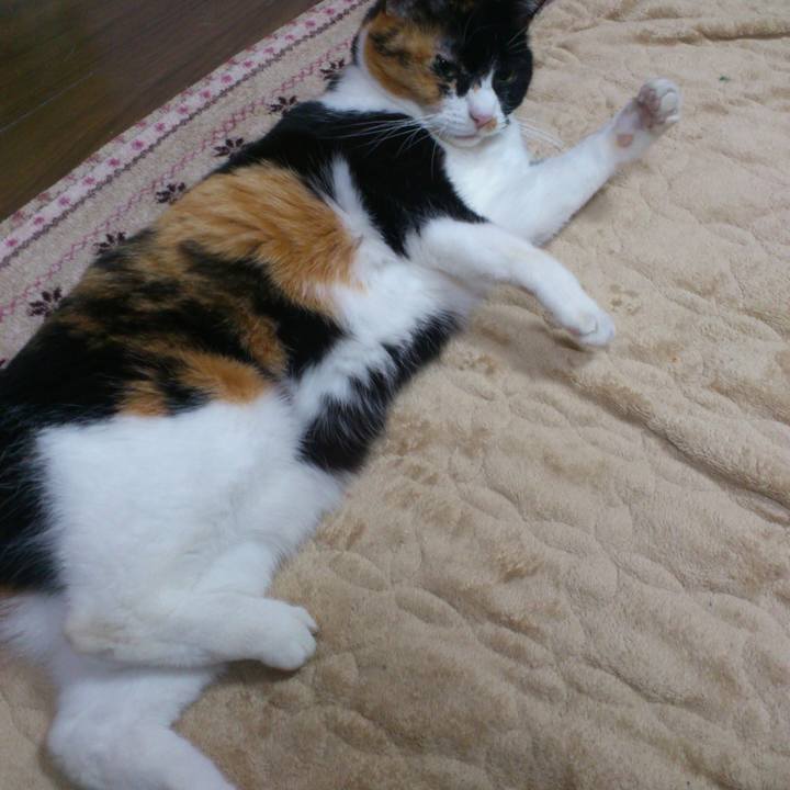 01083cae bf28 450c a1e1 41362b5c0b58