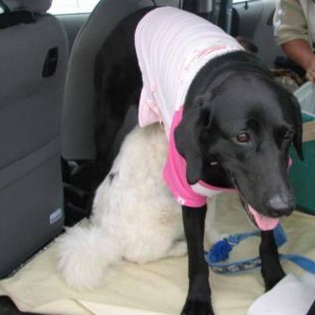 0108a91d b414 41d3 a097 3f971b9ae709