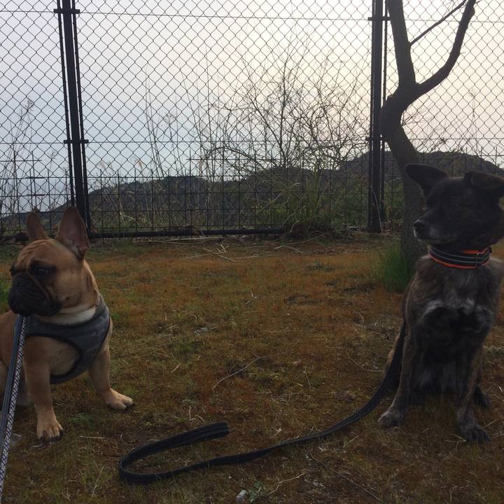 01095e0c 9a74 47a5 a0f1 e0af27dbcc53