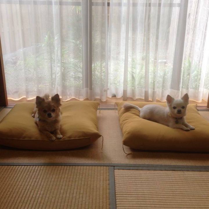 0109b694 f5a4 46cc 95cf ac201e3b074d