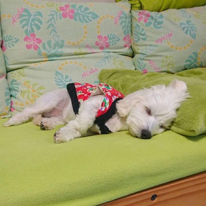 010a8c60 ea07 4a85 ac34 fc3f47dafcac