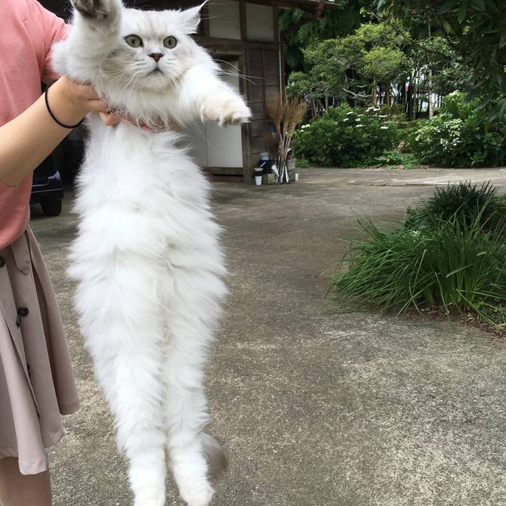 010ad8e9 a287 4d3a 8d02 63f9b11cdaa8