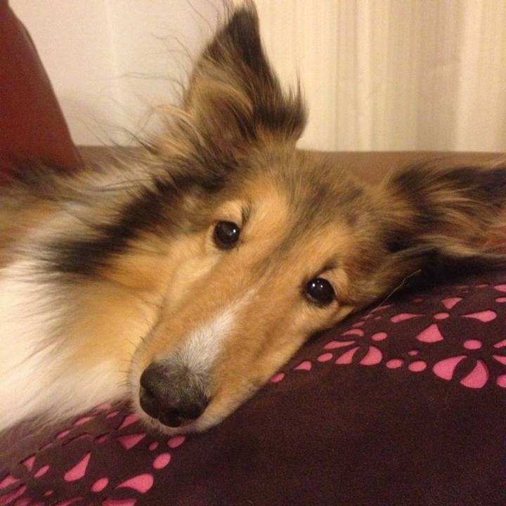 010b0038 0b03 4baf ab0a ca51245a02bb