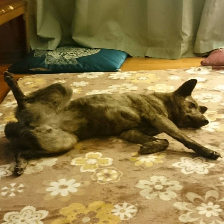 010ca2c1 387d 4330 961d c0fd668a3a47