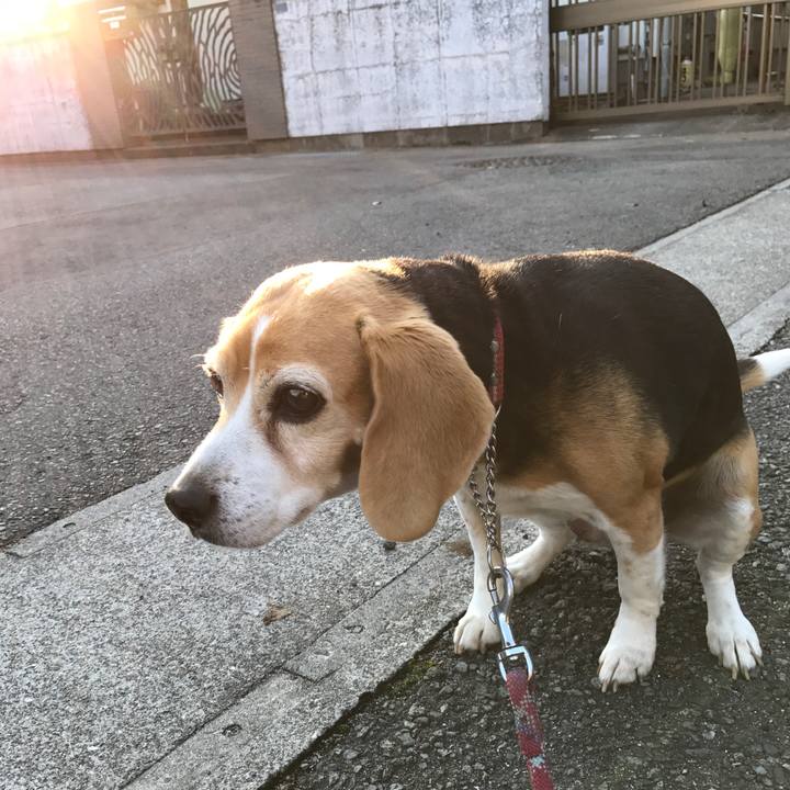 010ccbc4 0c3a 4b0a b8e2 54714e412c70