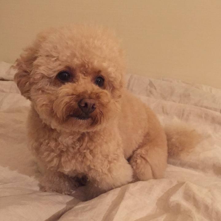 010dec6c 1c46 4ff8 a150 5fd2f74fa7b9