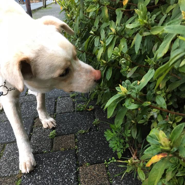 010e1565 3b3c 4f57 84c9 7b62ebbbf234