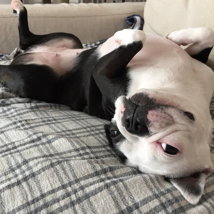 010e21c8 746a 4f19 8040 c68e964603a9