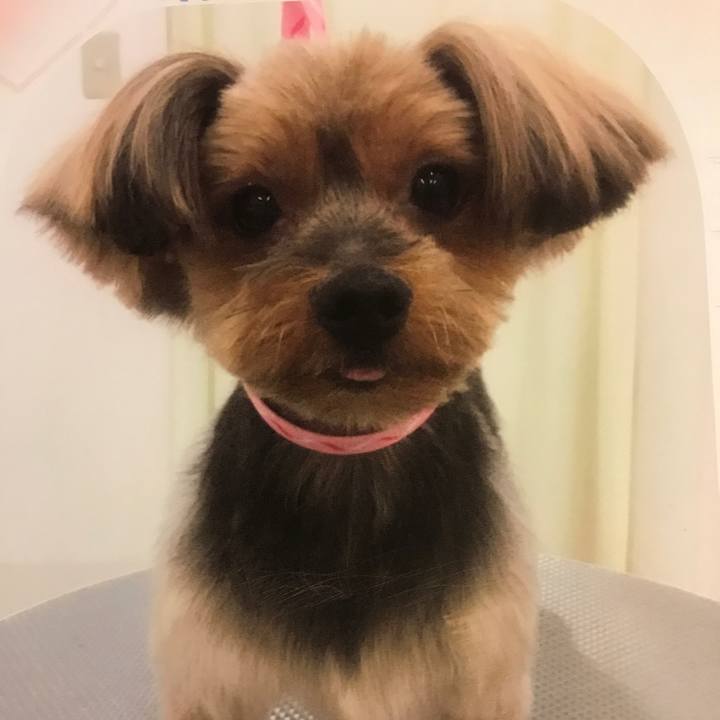 010ef970 4981 4d03 9dd5 a79b9ef503a7