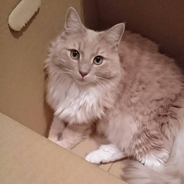 010effcc 0594 4feb 8ccd acdb4c02ad17