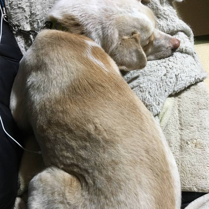 010f0153 b14c 4dae abb2 f9d2330d7df8