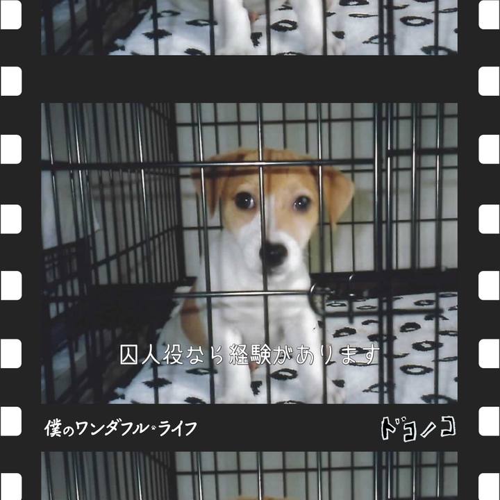 010fbad4 ff26 42c4 ab6a f2f4e6e8d104