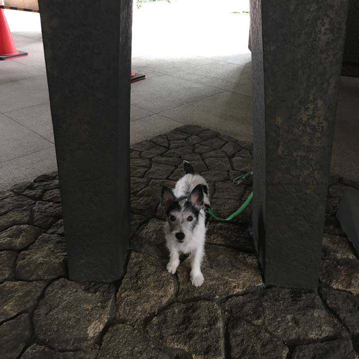 010fd83b 4bb9 4324 9d77 64d884df29d4