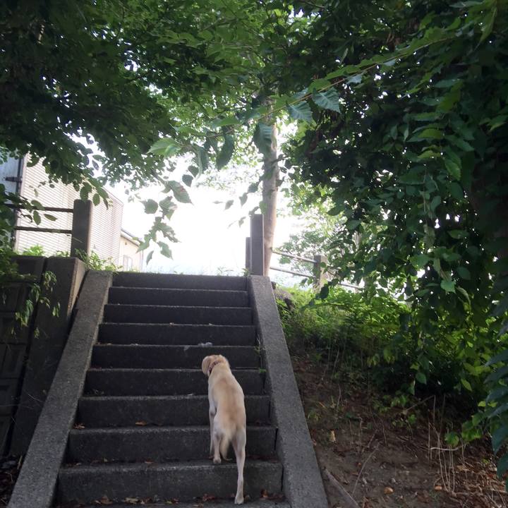 0110a644 11b4 4ccb 8073 552427af72df