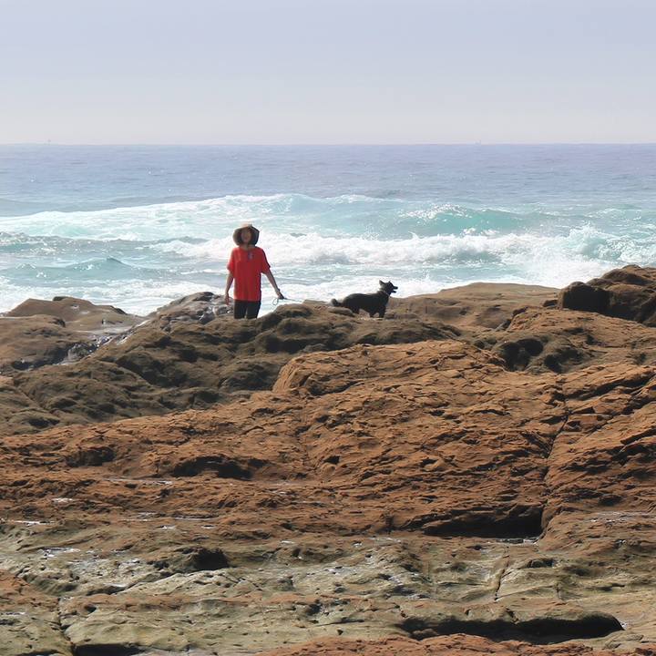 0110aa25 7f55 4e65 94fe b836c2768179