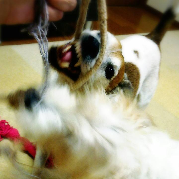 0110e6f9 b4aa 49b1 b963 90a539b59bcd