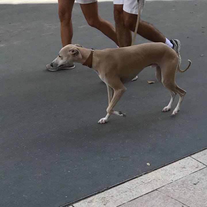 011108e8 4e9e 4477 891c 4873edfad49a