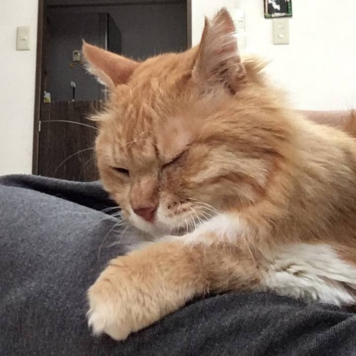 011128bc c9a1 412a b657 cbd596d50b15