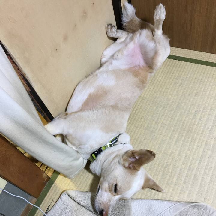 01118899 6646 41fa 9370 c01e93556b0b