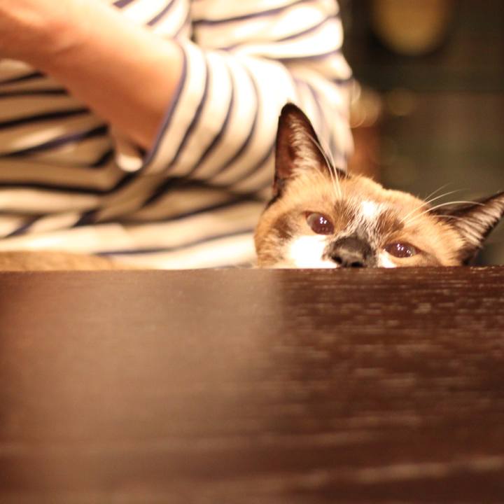 0111d69d 326f 4772 b34e e4ee1f3007ec