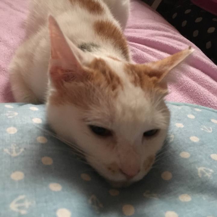 0111db94 a3e6 41ff 9133 7adf0884b586