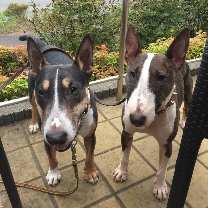 011338a7 6b58 4390 a56e 1fa5107b064f