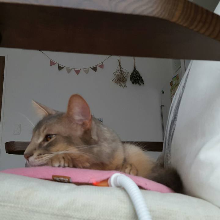 01134edb 2b33 4e48 b019 101d25537887