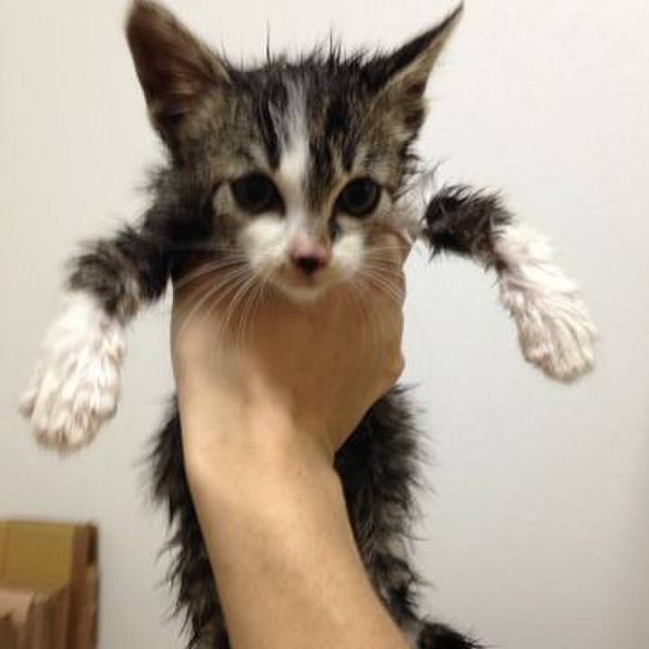 011365c4 35e1 44eb baf3 6a0303ff30b0