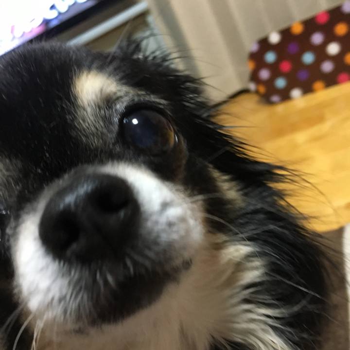 01136630 548e 4e03 bc16 f750a5875616