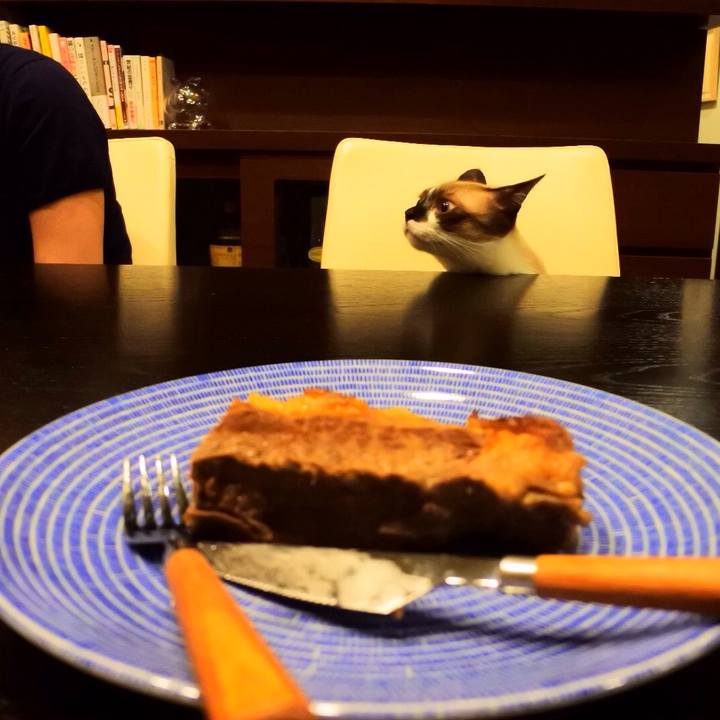 01138282 c9ab 4262 b9ac 51b91ffc93e4