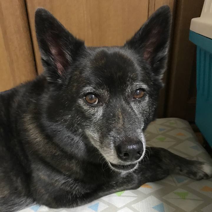 01138f01 e243 4159 b471 7e067bdd3416