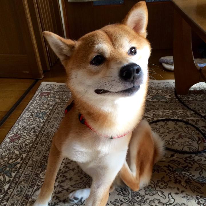 0113fa17 d691 4109 ac9e 0c5672104bda