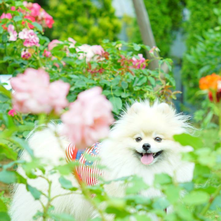 011445c1 0954 4031 aeda 391bb63de06d