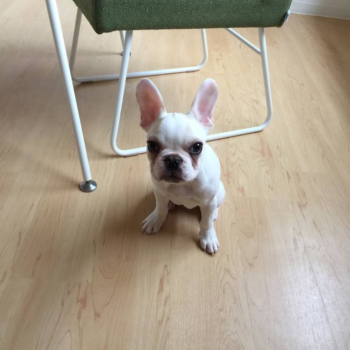 0114608a 0bb1 4122 9d5c a3c873d14a6e